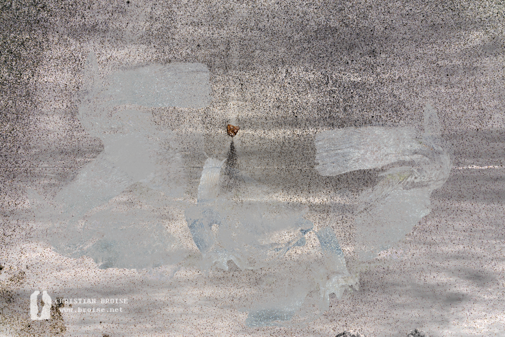 Transparence des poissons 14. Oeuvre originale : tirage Fine Art de l'artiste Christian Broise