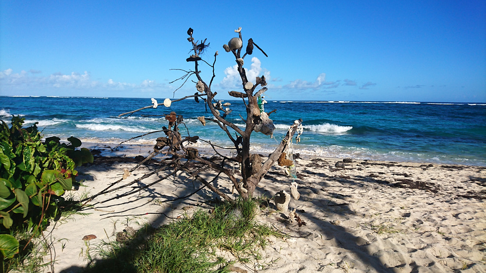 Installation trouvée sur une plage