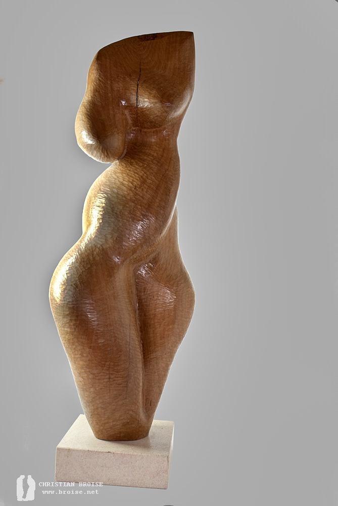 Figure debout 4 (Bois de poirier) de Christian Broise