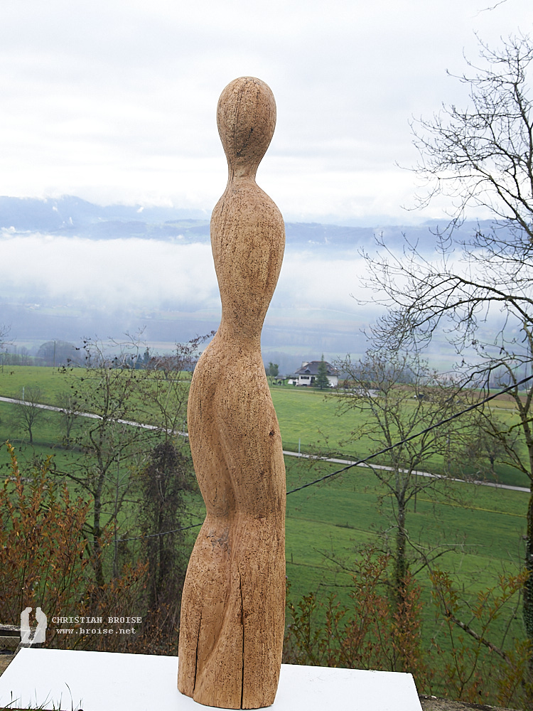 Figure debout 5 (Bois de pommier) de Christian Broise