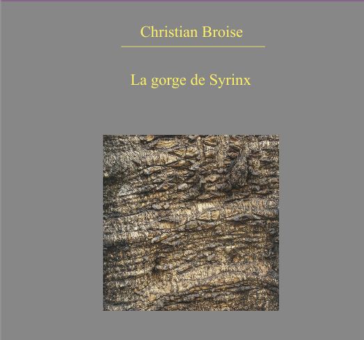 Première de couverture. La gorge de Syrinx de Christian Broise
